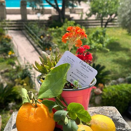 شقة Piccolo Podere Melilli المظهر الخارجي الصورة