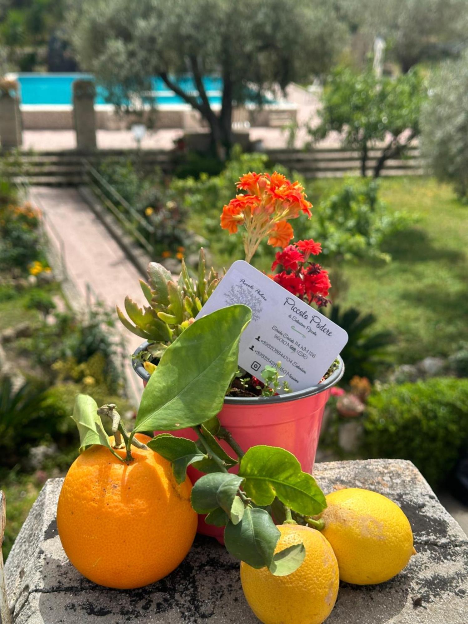 شقة Piccolo Podere Melilli المظهر الخارجي الصورة